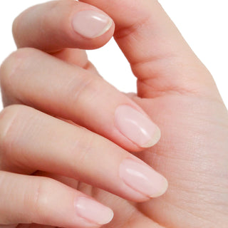 Rubber Base 14ml 102